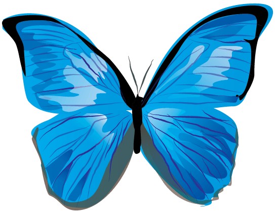 Butterfly Image free vector