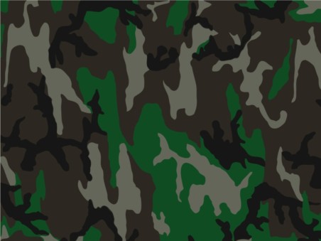 Camouflage Pattern set vector