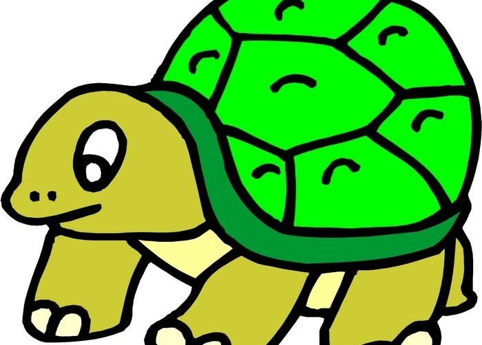 Cartoon turtle vector