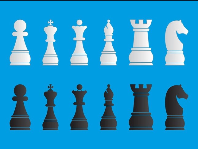 Chess Pieces vector