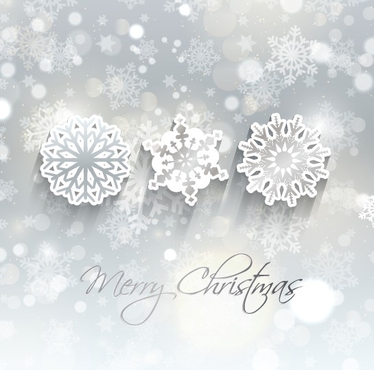 Christmas Snowflake background 2 vector