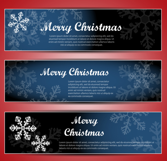 Christmas Snowflake banner vector graphics