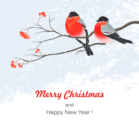 Christmas bird background 1 vector