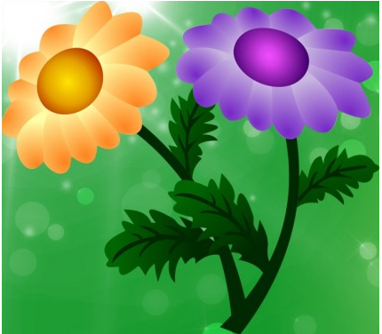 Chrysanthemum Free design vectors