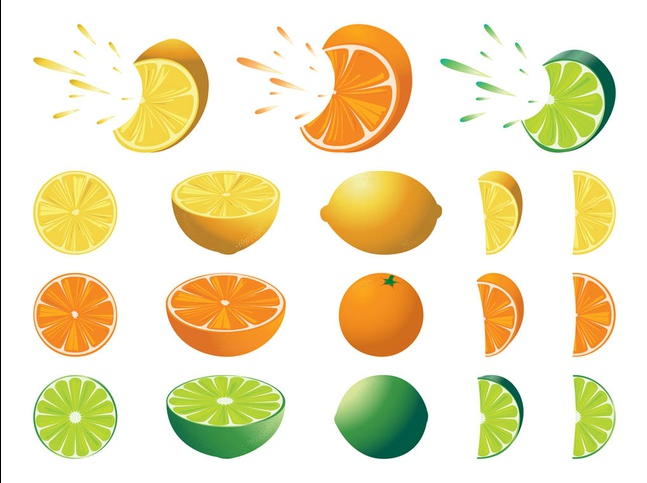 Citrus Fruits free vector