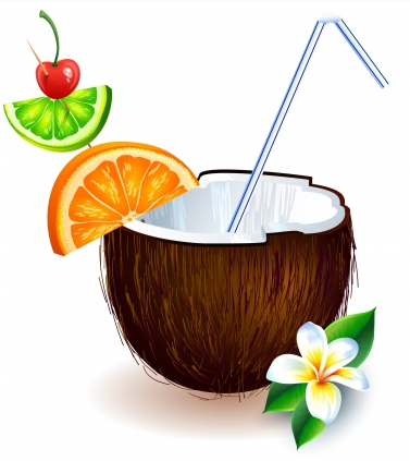 Coconut fruit Free vector graphics