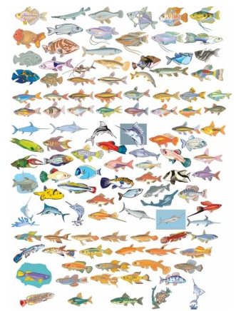 Collection Fish vector