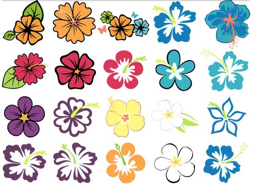 Color Hibiscus graphic creative vector