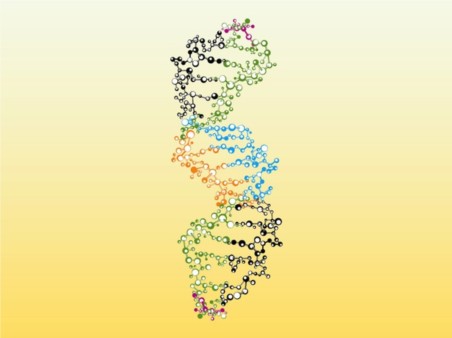 Colorful DNA vector