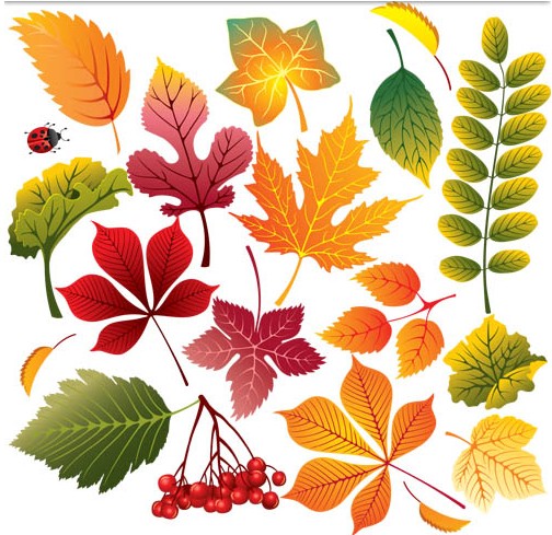 Colorful Leaves free vector