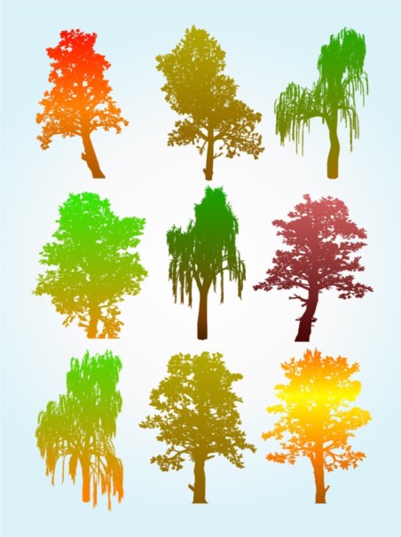 Colorful Tree Silhouette Graphics vector