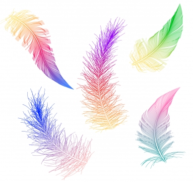 Colorful feather Free vector design