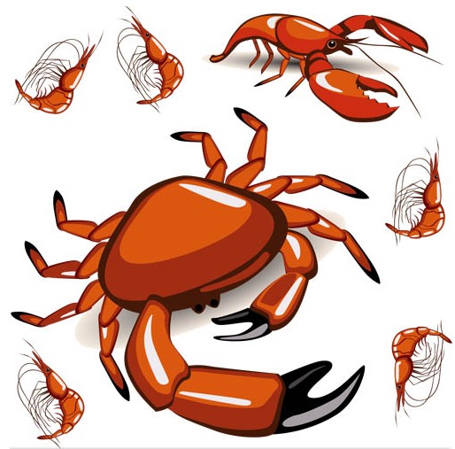 Crabs and prawns vector graphics