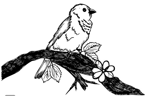 Cute Bird on Tree Branch Art vector material