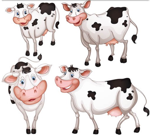 Cute Cows vector
