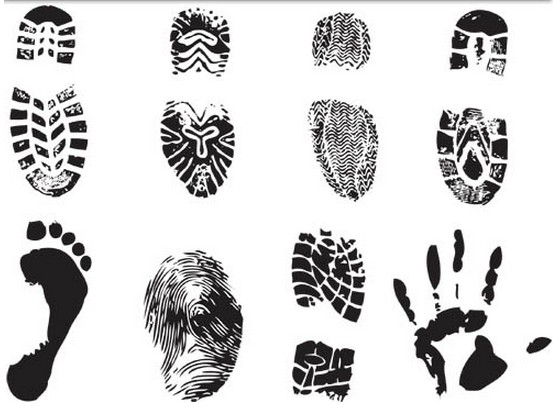 Different Fingerprint vectors graphics
