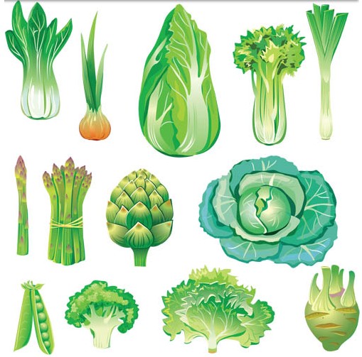 Different Green Vegetables set vector