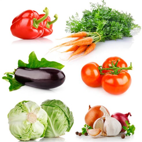 Different Vegetables vector