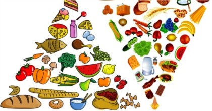 Different food elements vector