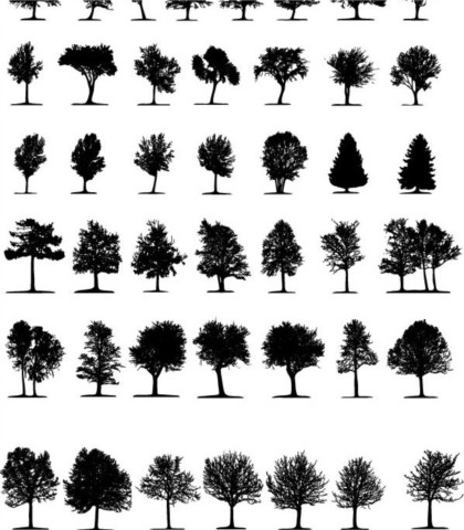 Different tree silhouette vector