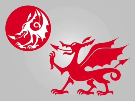 Dragons Graphics vector