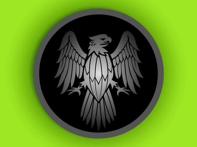 Eagle Icon creative vector
