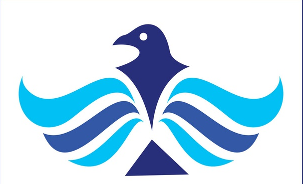 Eagle Logo Design vectors graphic