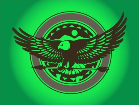 Eagle Logo set vector