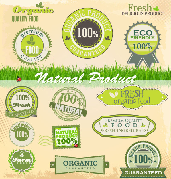 Eco natural labels 4 vector