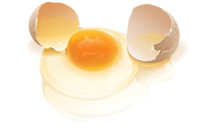 Eggshell and yolk creative vector