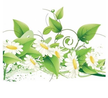 Elegant Floral Background vector