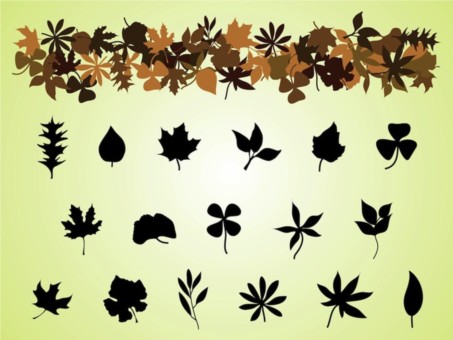 Fall Leaves vectors material