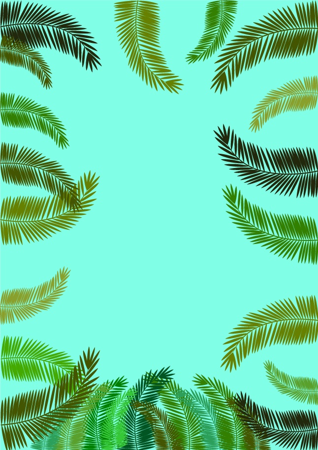 Fern leaf frames vector