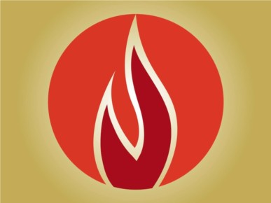 Flames Icon set vector
