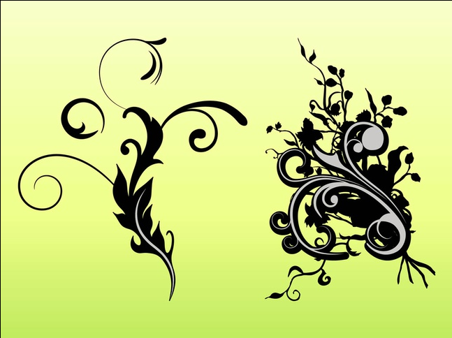 Floral Scrolls graphic vector