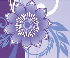 Floral background vector design