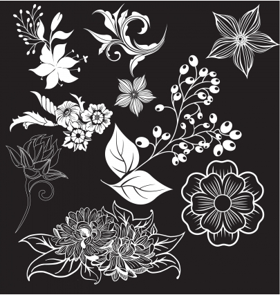 Floral elements 21 vector design