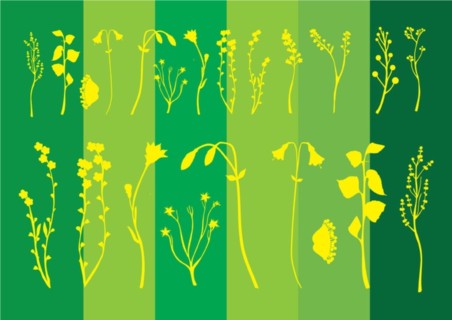 Flower Plants vector