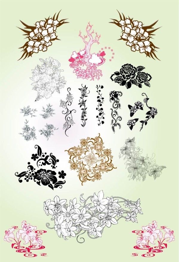 Flower and floral elements vectors graphic