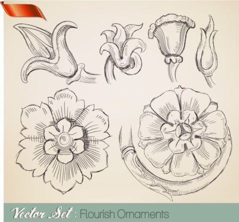 Flower sketch vectors