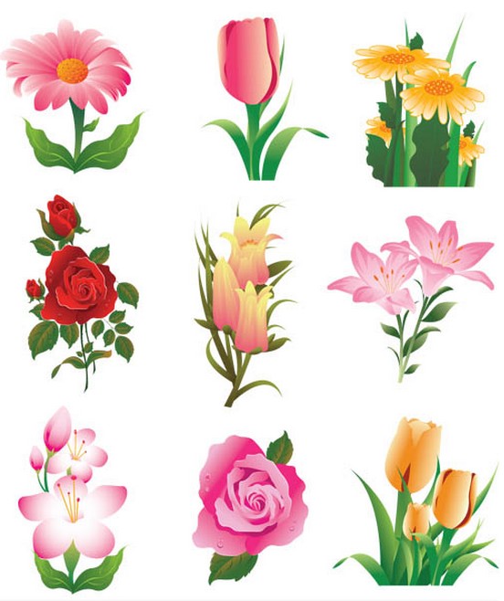 Flowers graphic vector