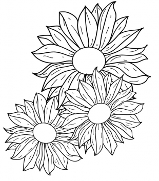 Flowers line drawing Free vectors graphic