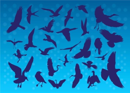 Flying Birds Silhouettes creative vector