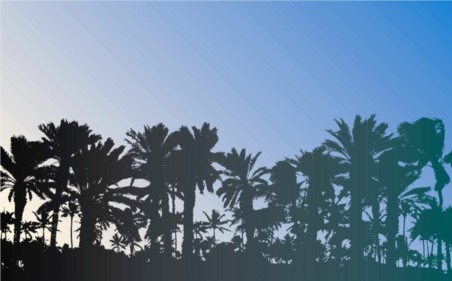 Free Palm Trees set vector
