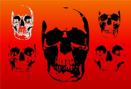 Free Skull vector graphics