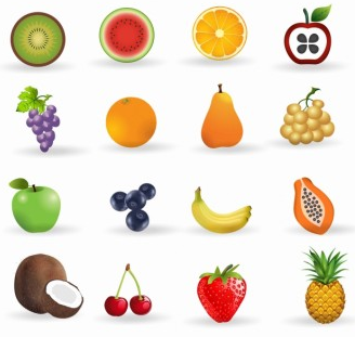 Fruit icon set shiny vector