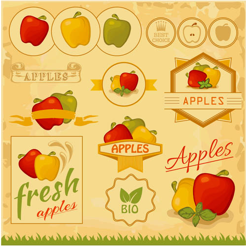 Fruits Color Labels creative vector