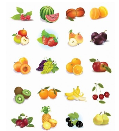 Fruits Vector Graphics Design