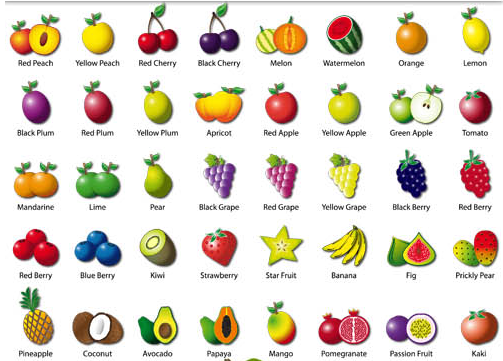 Fruits graphic vector