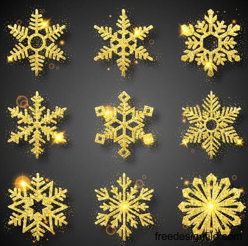 Golden snowflake christmas festival illustration vector 03